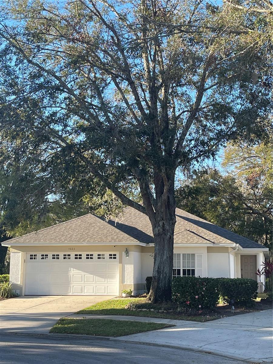 7023 ARCADIAN CT, MOUNT DORA, FL, 32757