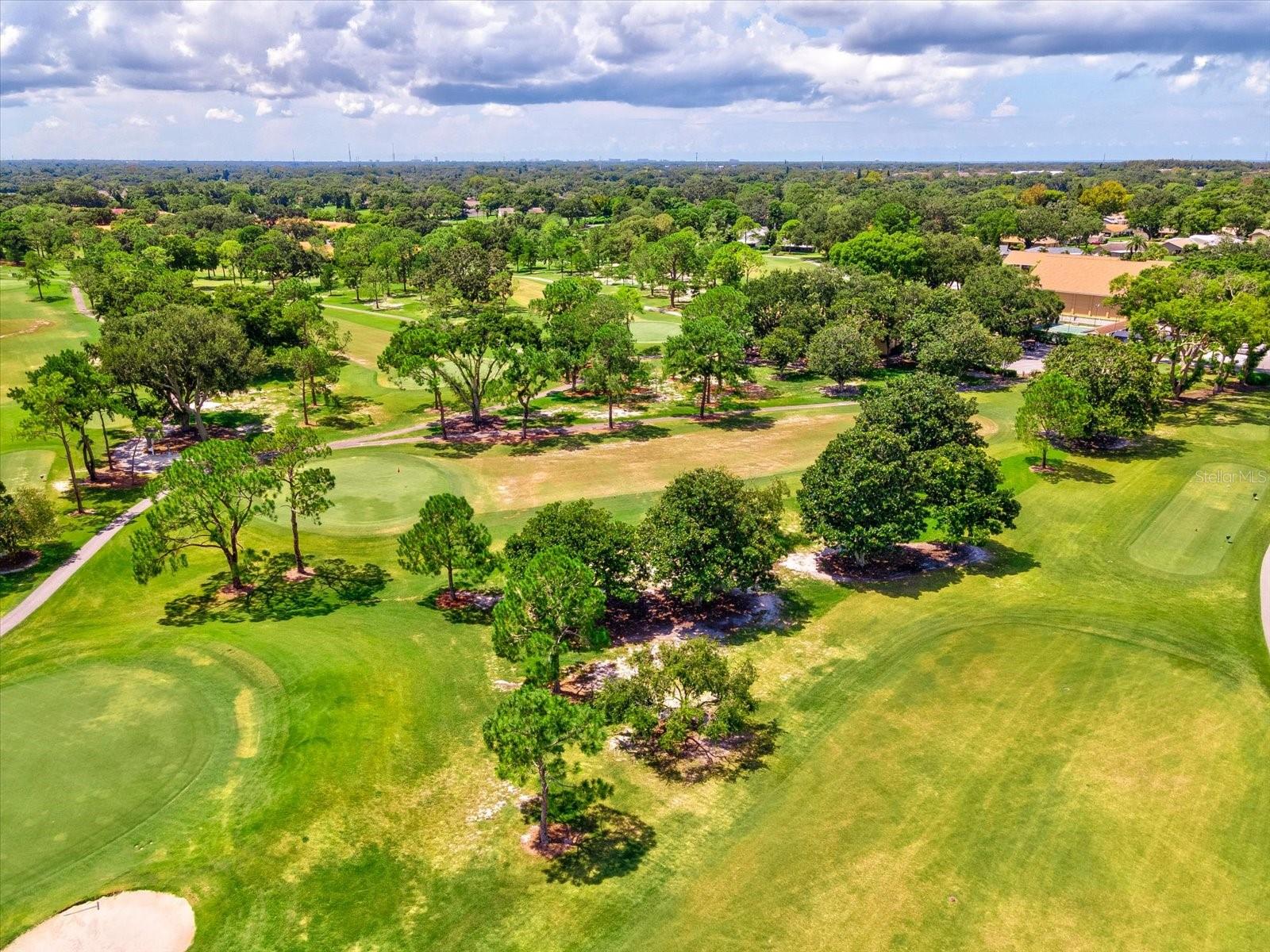 3259 HILARY CIR #1C, PALM HARBOR, FL, 34684