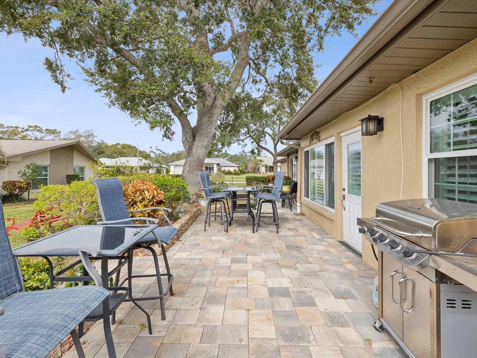 3259 HILARY CIR #1C, PALM HARBOR, FL, 34684