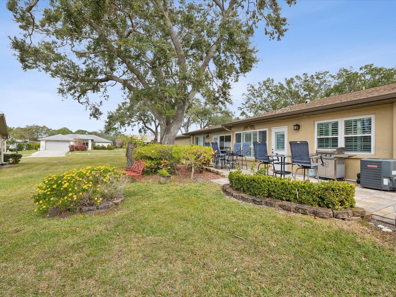 3259 HILARY CIR #1C, PALM HARBOR, FL, 34684