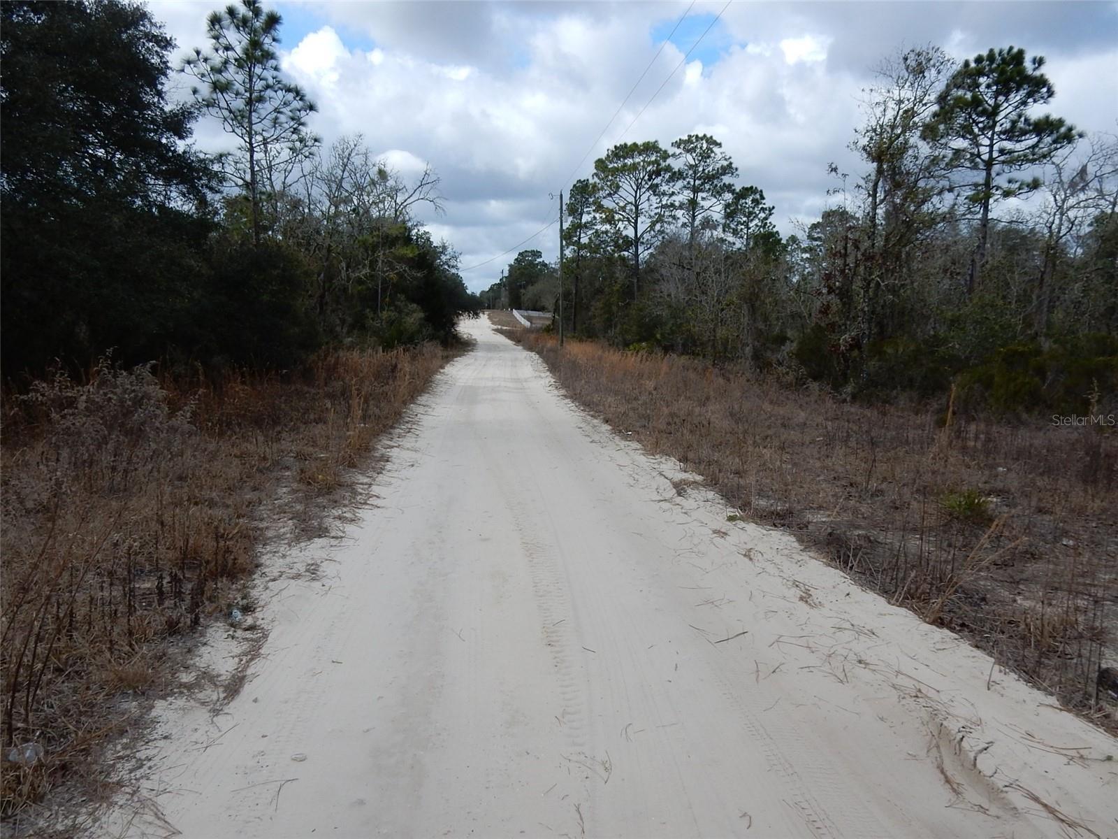 11611 NE 65TH LN, WILLISTON, FL, 32696