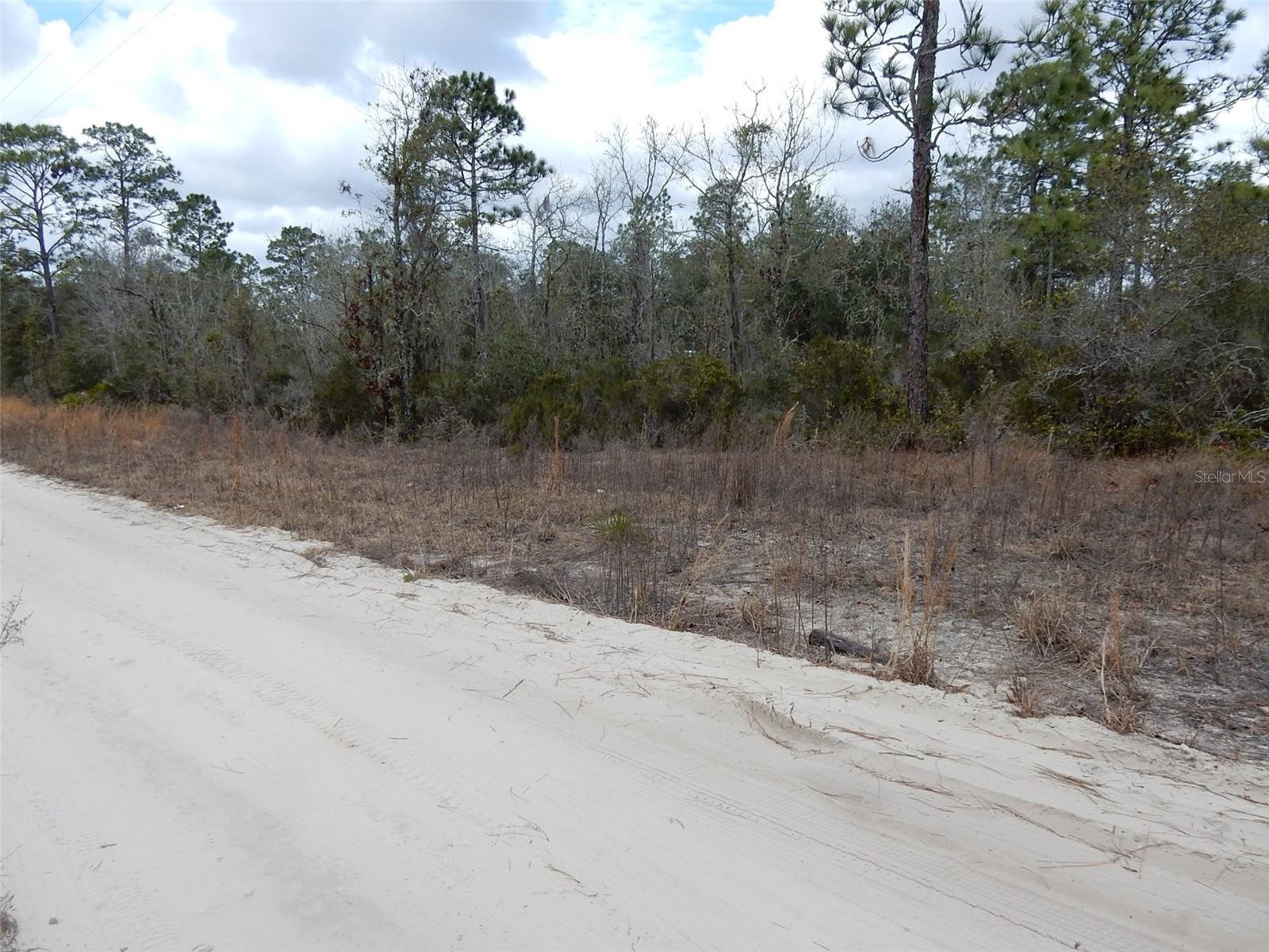 11611 NE 65TH LN, WILLISTON, FL, 32696