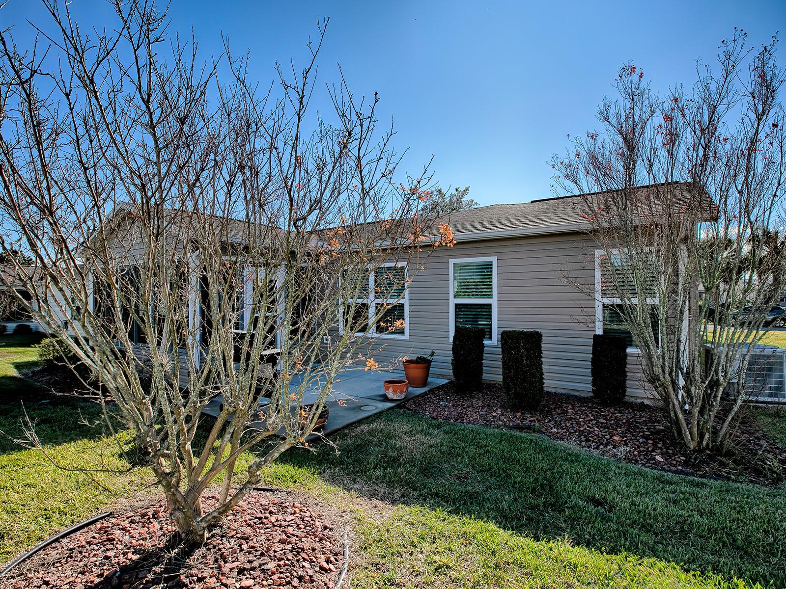 2009 CLAUDIO LN, THE VILLAGES, FL, 32159