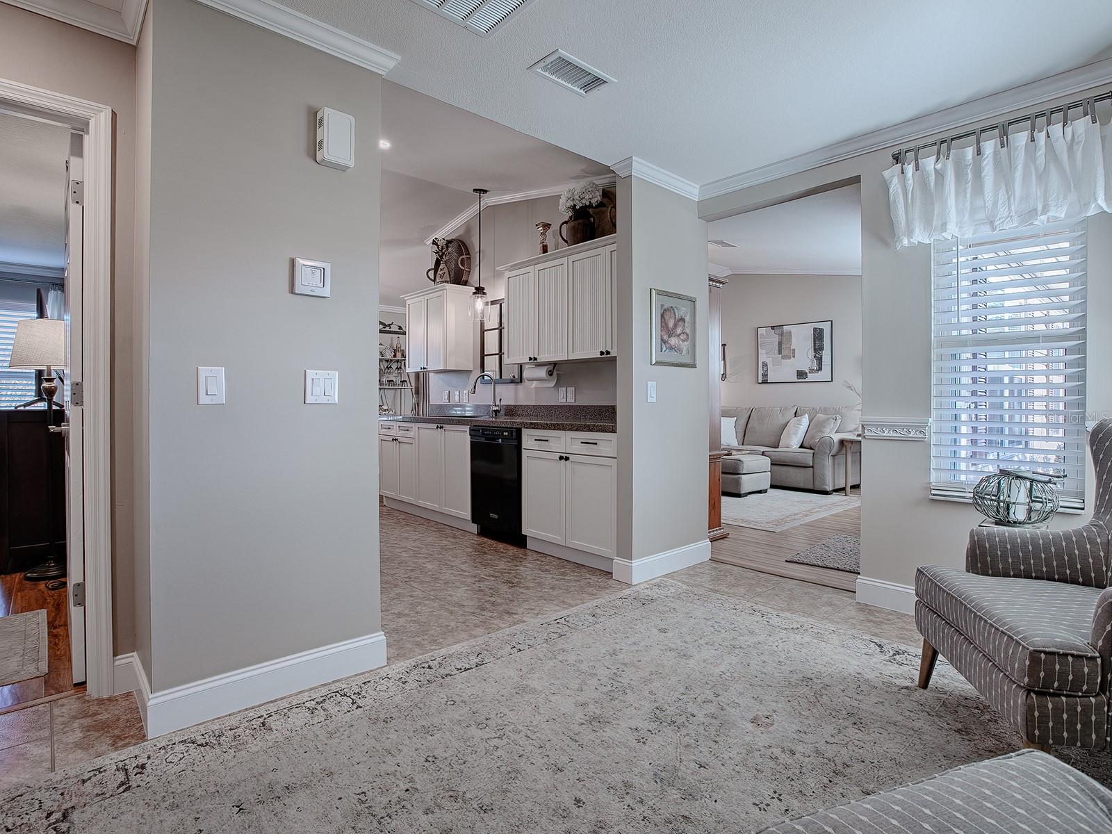 2009 CLAUDIO LN, THE VILLAGES, FL, 32159