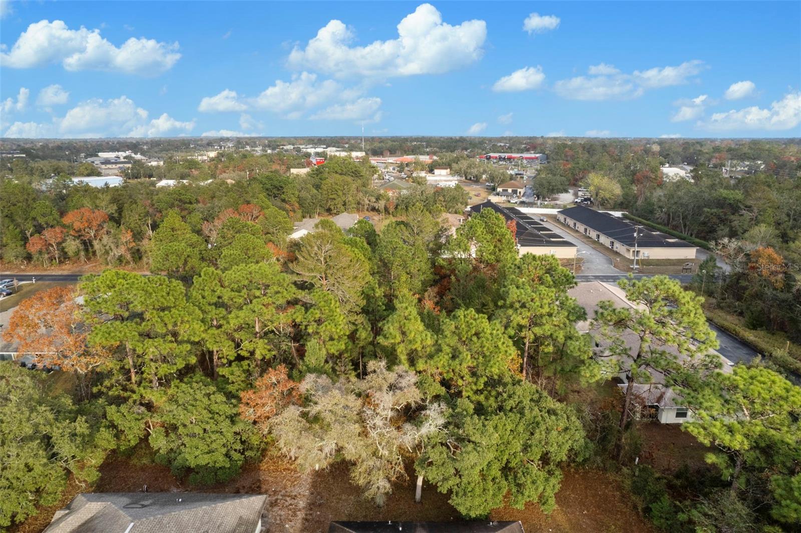4027 PORTILLO RD, SPRING HILL, FL, 34608
