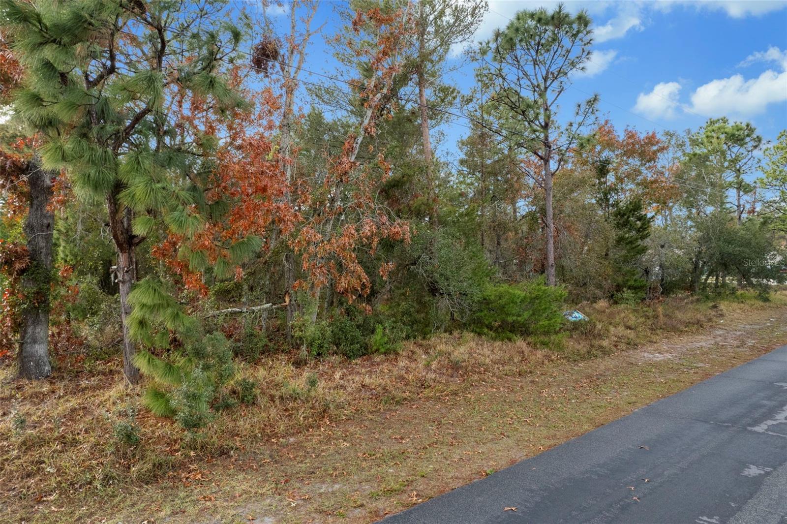 4027 PORTILLO RD, SPRING HILL, FL, 34608