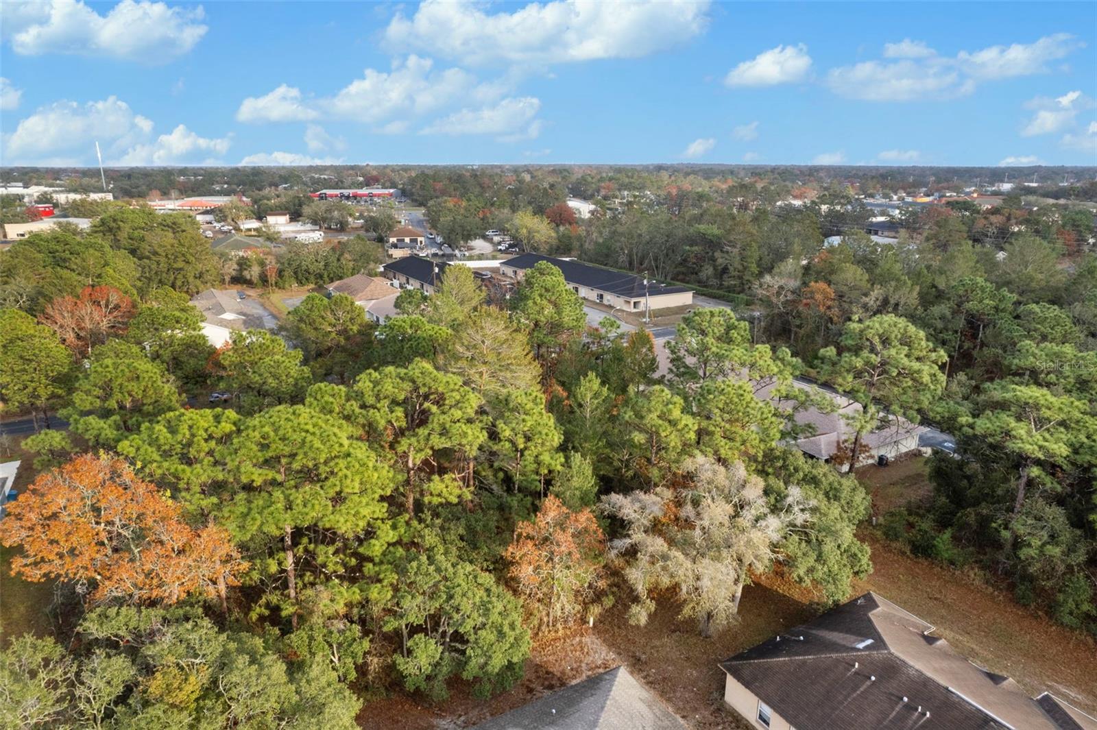 4027 PORTILLO RD, SPRING HILL, FL, 34608