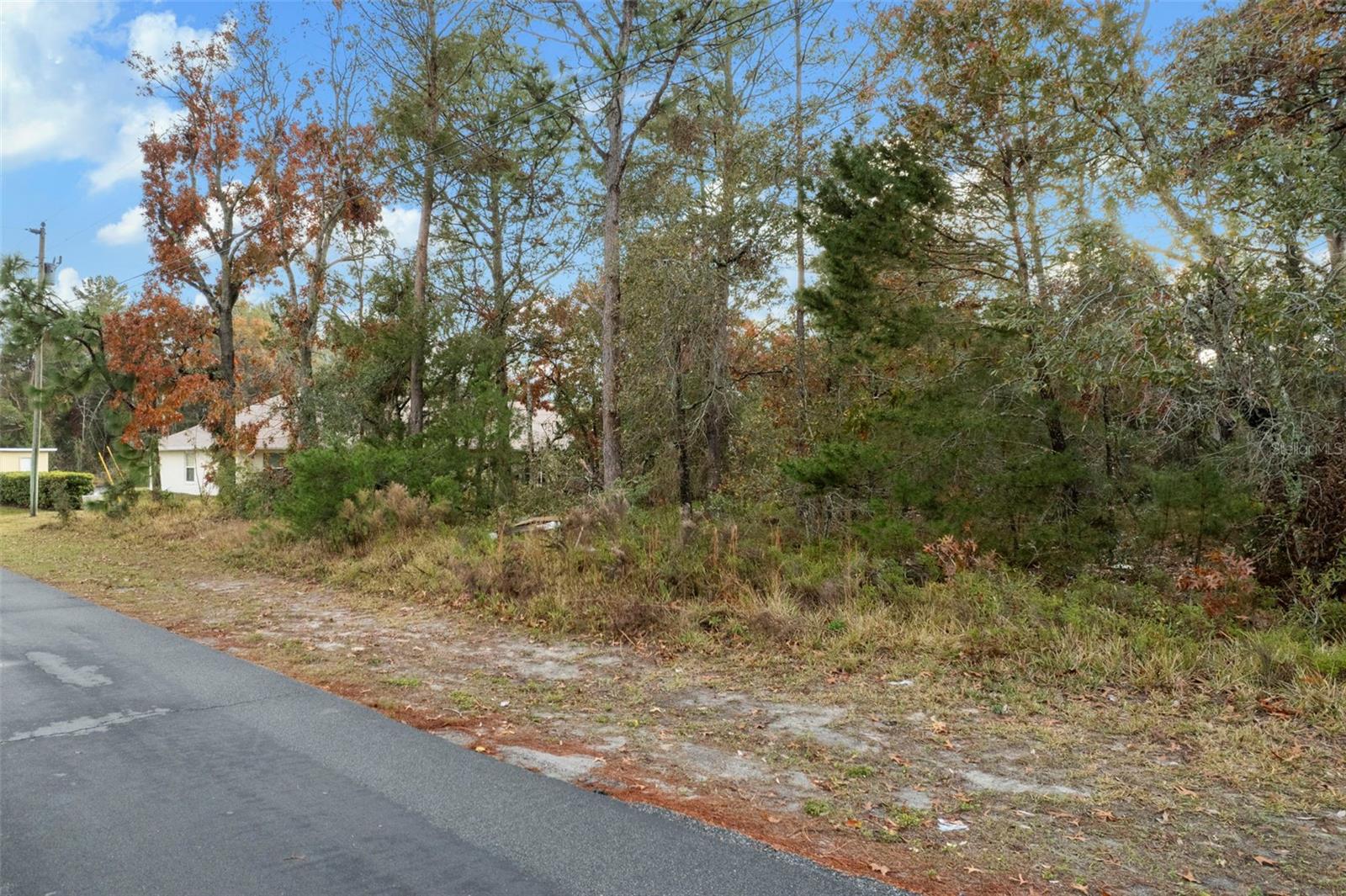 4027 PORTILLO RD, SPRING HILL, FL, 34608