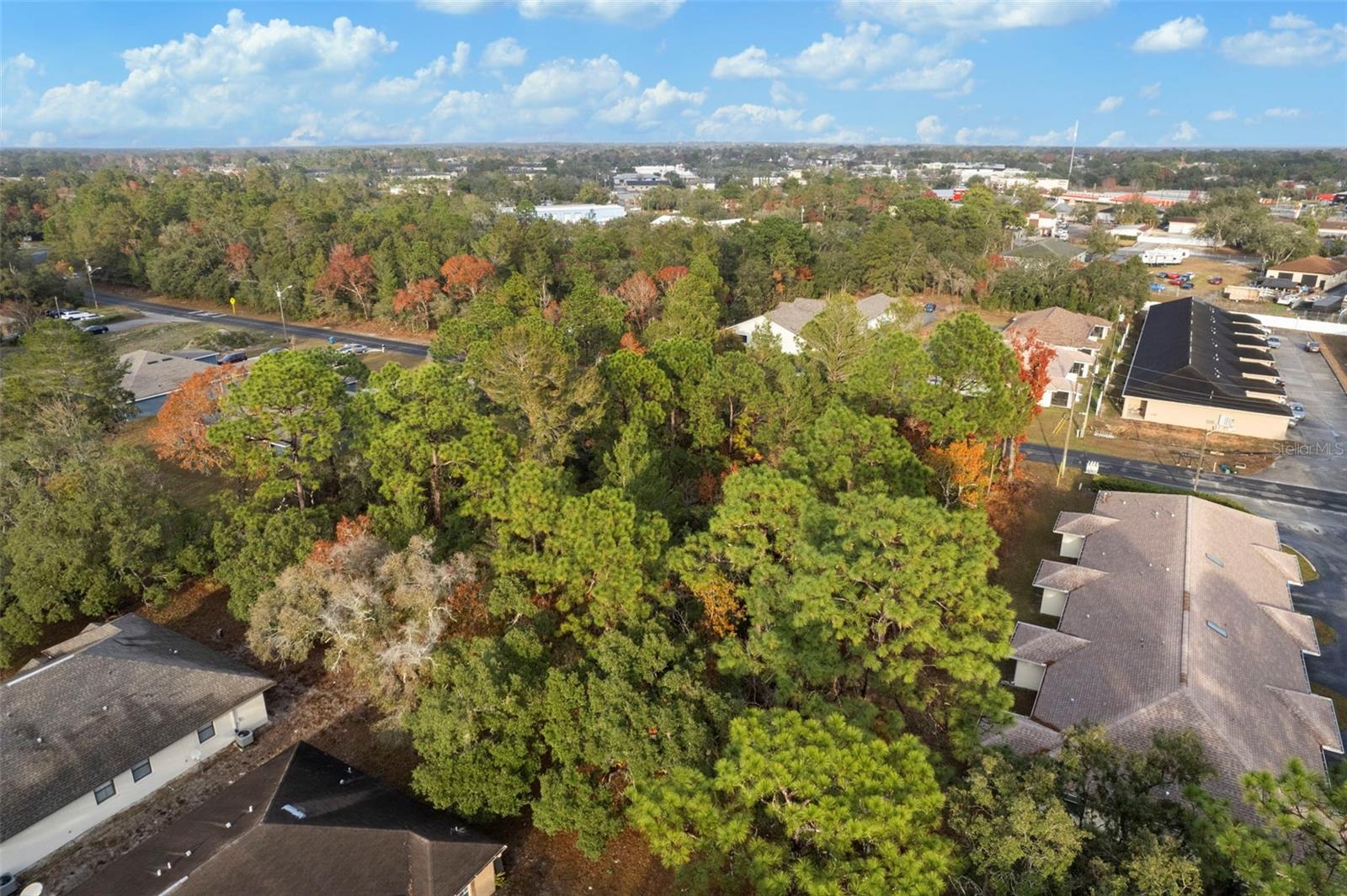 4027 PORTILLO RD, SPRING HILL, FL, 34608
