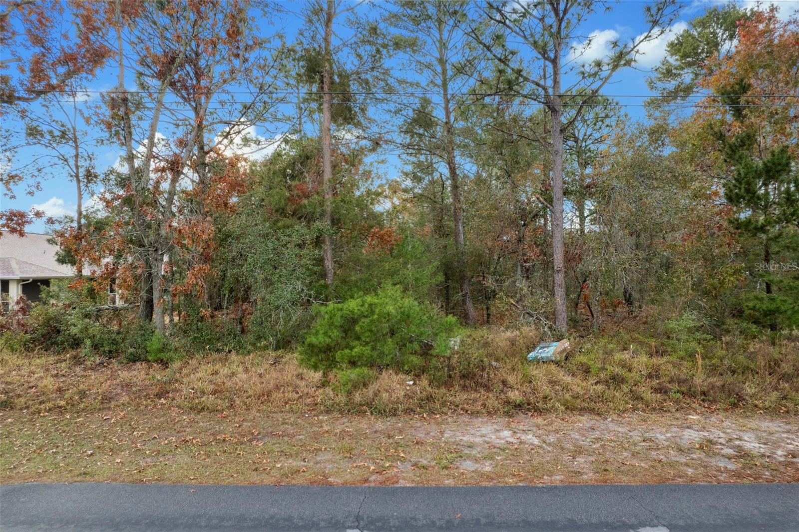 4027 PORTILLO RD, SPRING HILL, FL, 34608