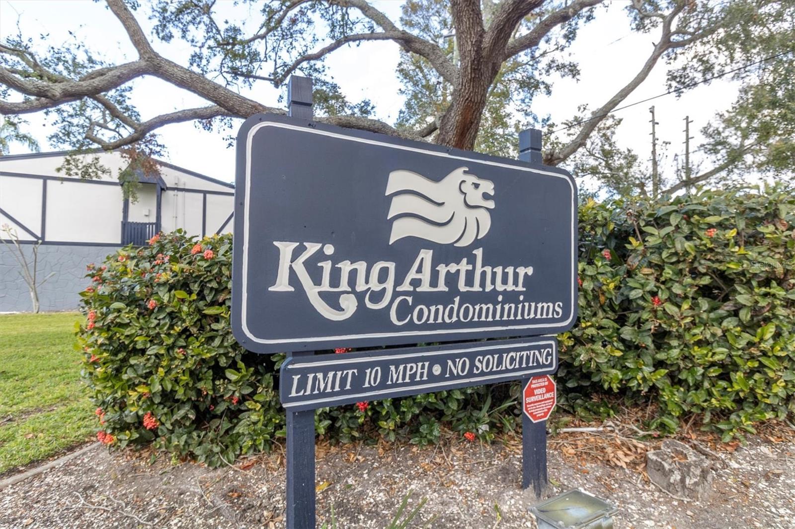 1147 KING ARTHUR CT #209, DUNEDIN, FL, 34698