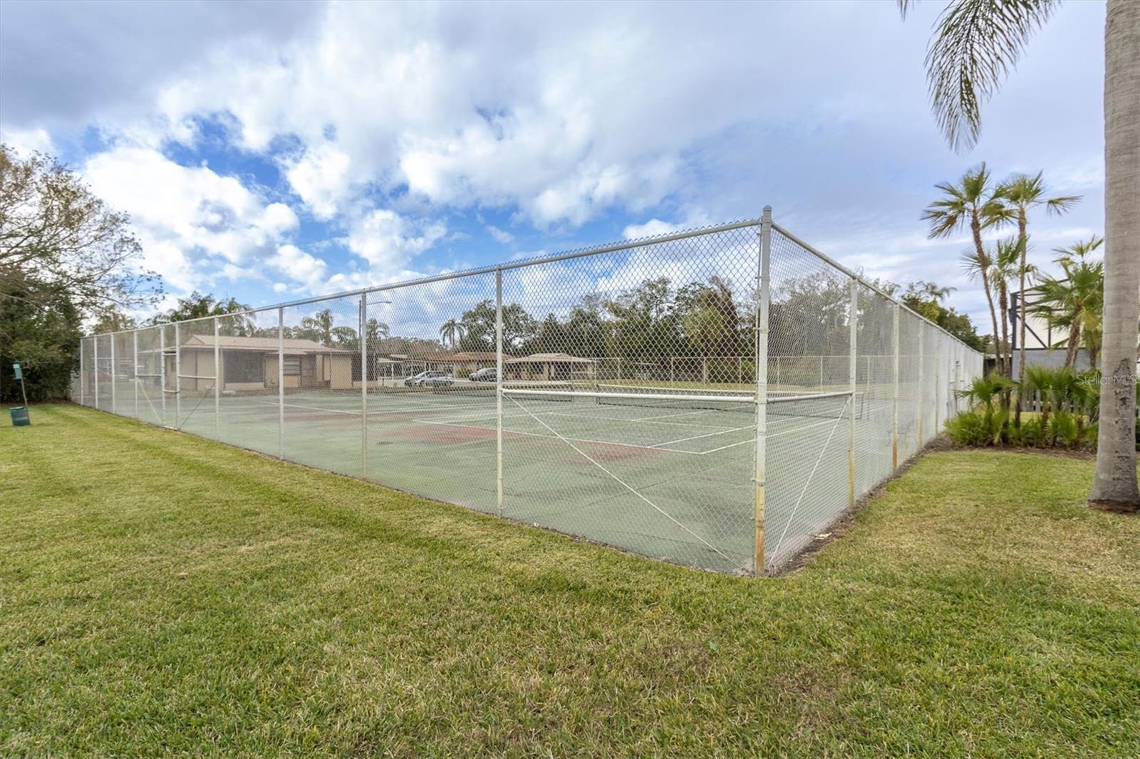 1147 KING ARTHUR CT #209, DUNEDIN, FL, 34698