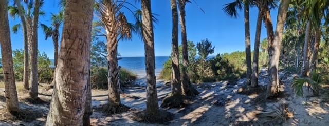 7300 SHOAL LINE BLVD, WEEKI WACHEE, FL, 34607