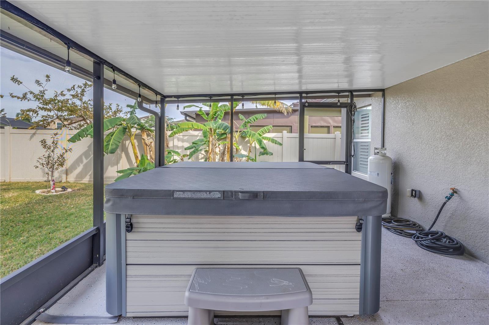 10405 WHITE PEACOCK PL, RIVERVIEW, FL, 33578