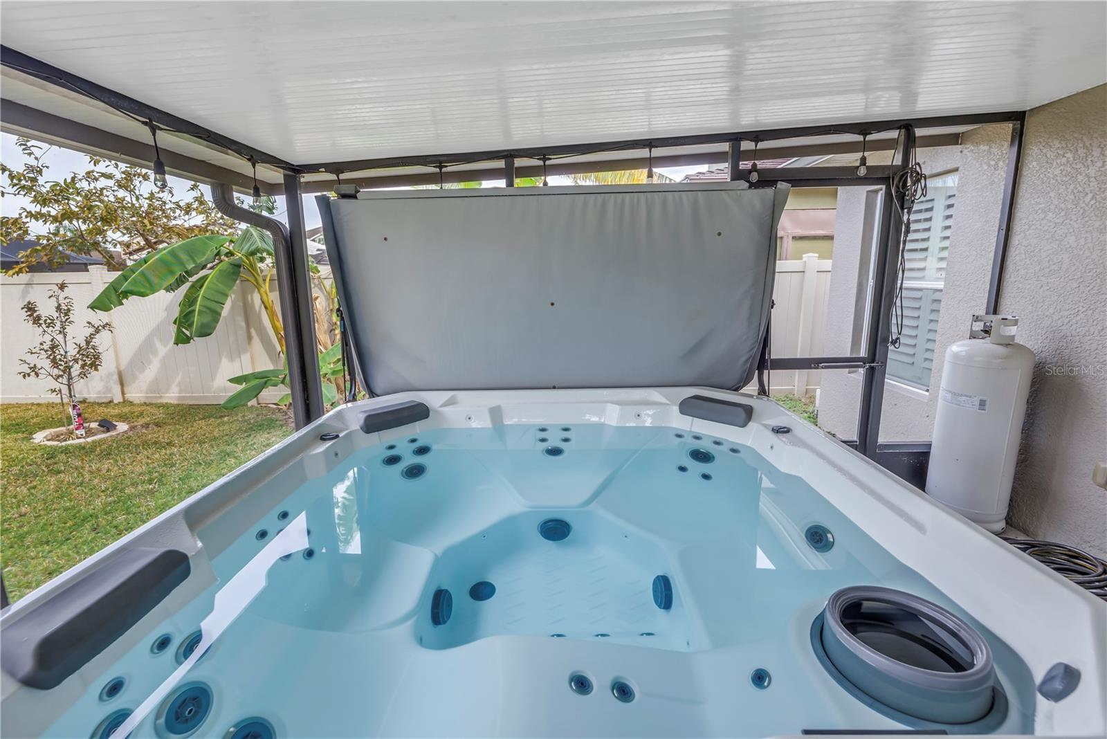 10405 WHITE PEACOCK PL, RIVERVIEW, FL, 33578