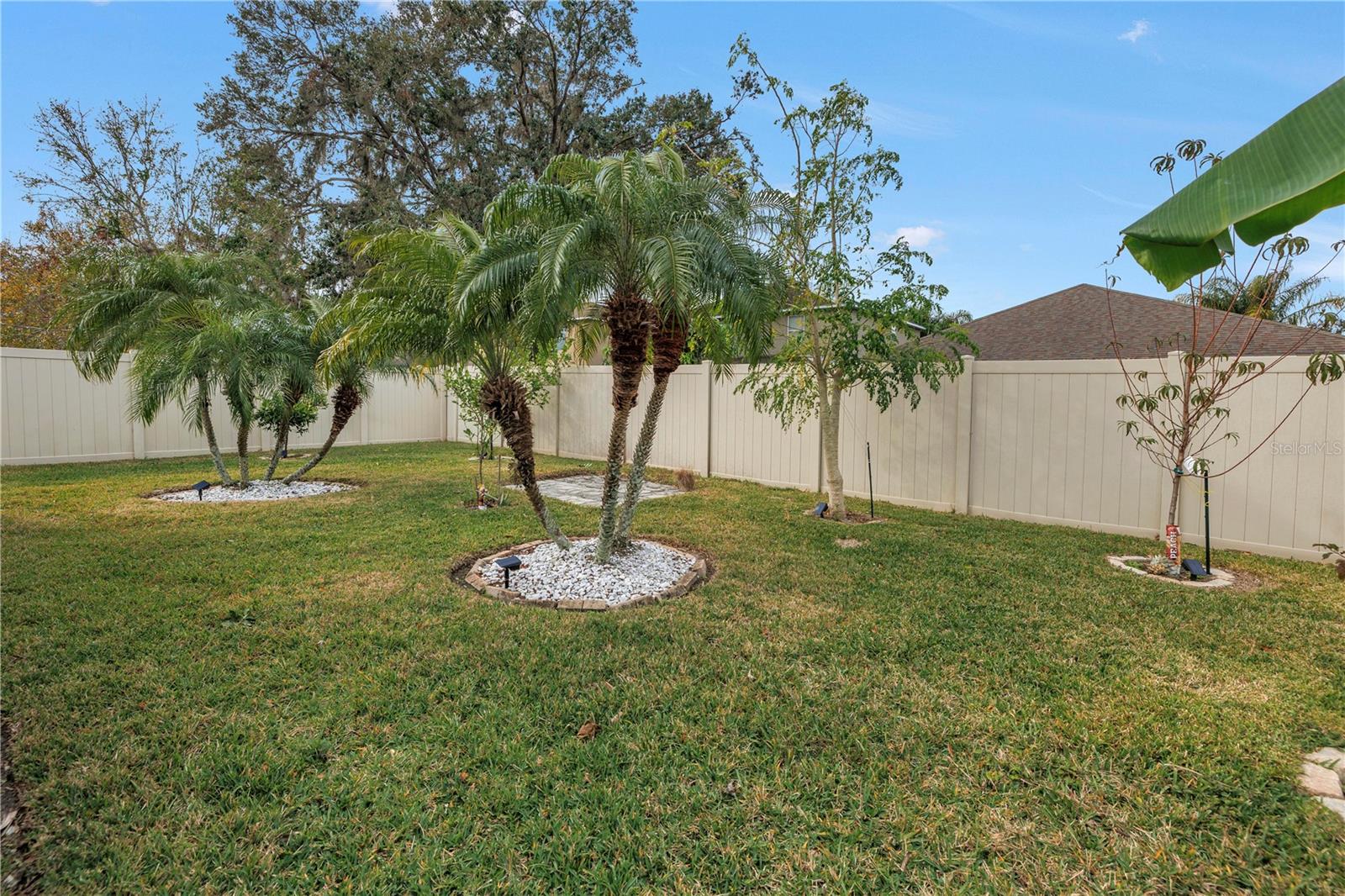 10405 WHITE PEACOCK PL, RIVERVIEW, FL, 33578