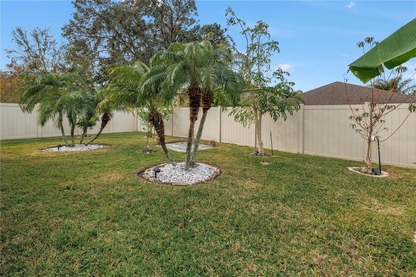 10405 WHITE PEACOCK PL, RIVERVIEW, FL, 33578