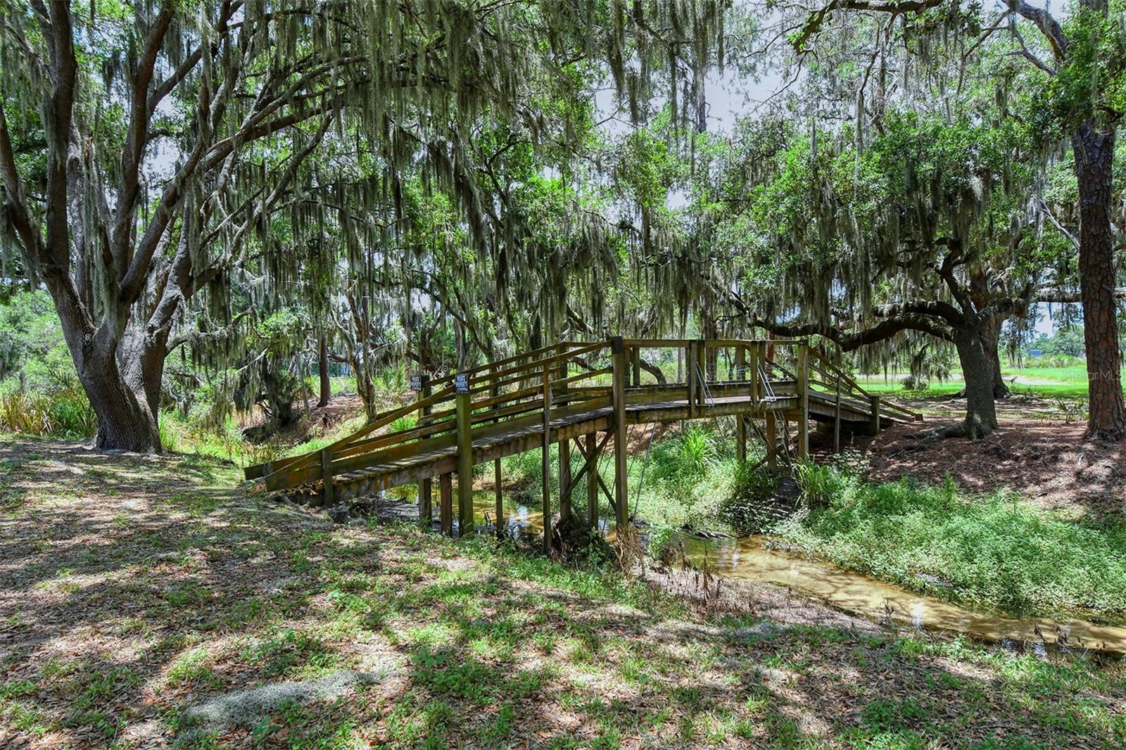10916 COPPERLEFE DR, BRADENTON, FL, 34212