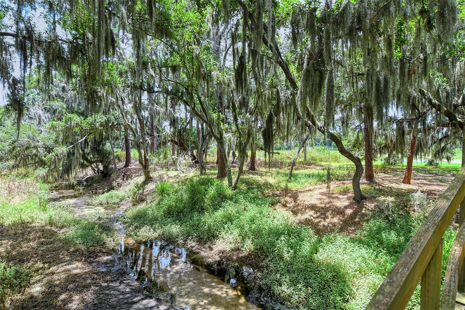 10916 COPPERLEFE DR, BRADENTON, FL, 34212