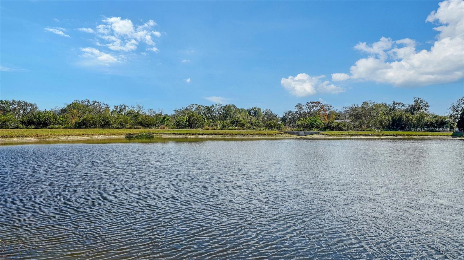 10916 COPPERLEFE DR, BRADENTON, FL, 34212