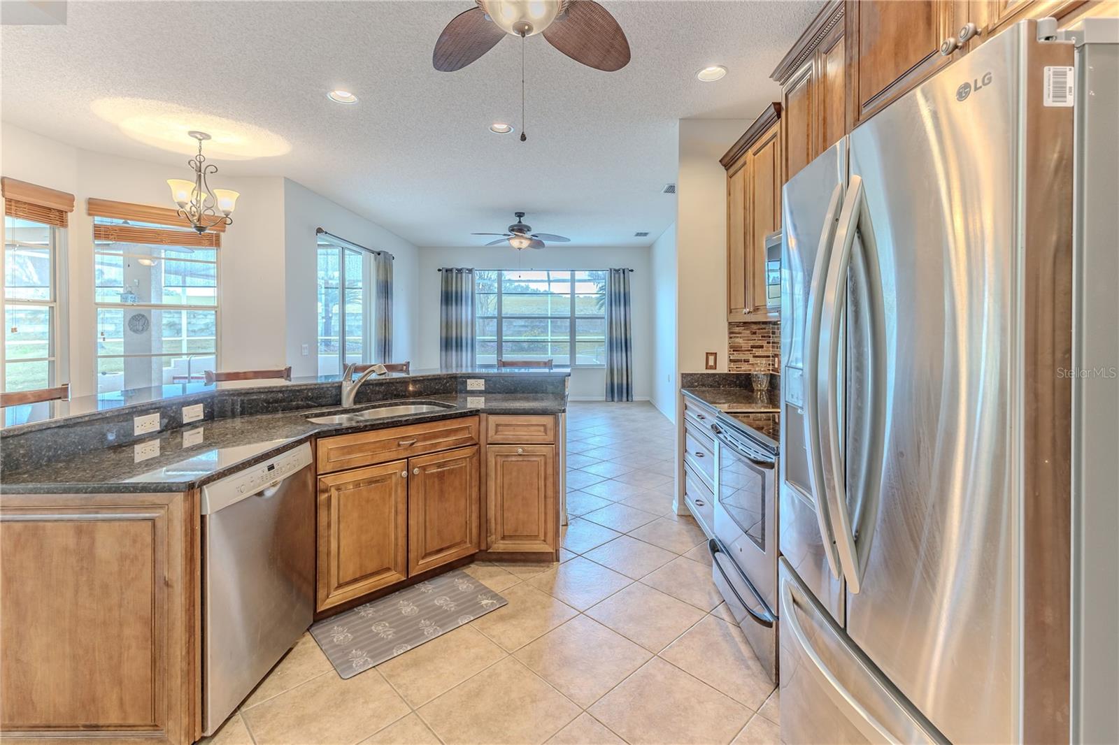 2217 TERRACE VIEW LN, SPRING HILL, FL, 34606