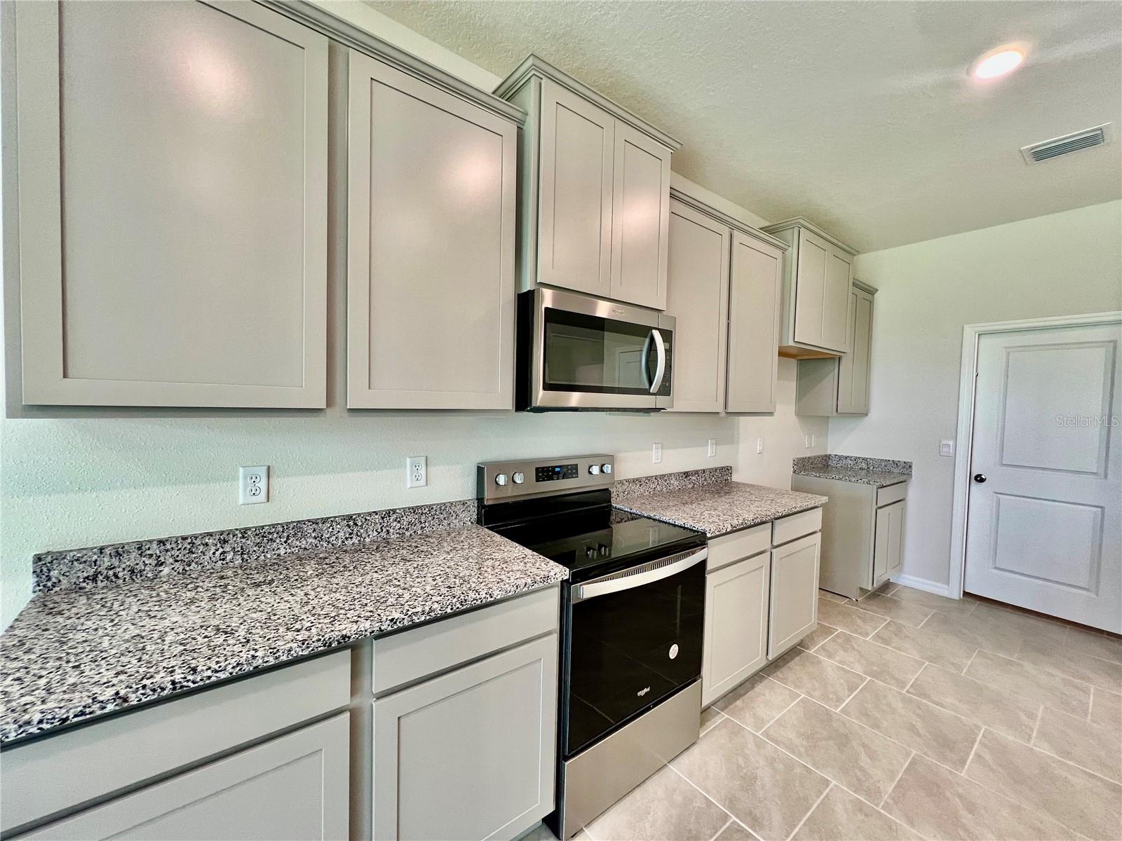 33869 FIELD MAPLE LOOP, WESLEY CHAPEL, FL, 33545