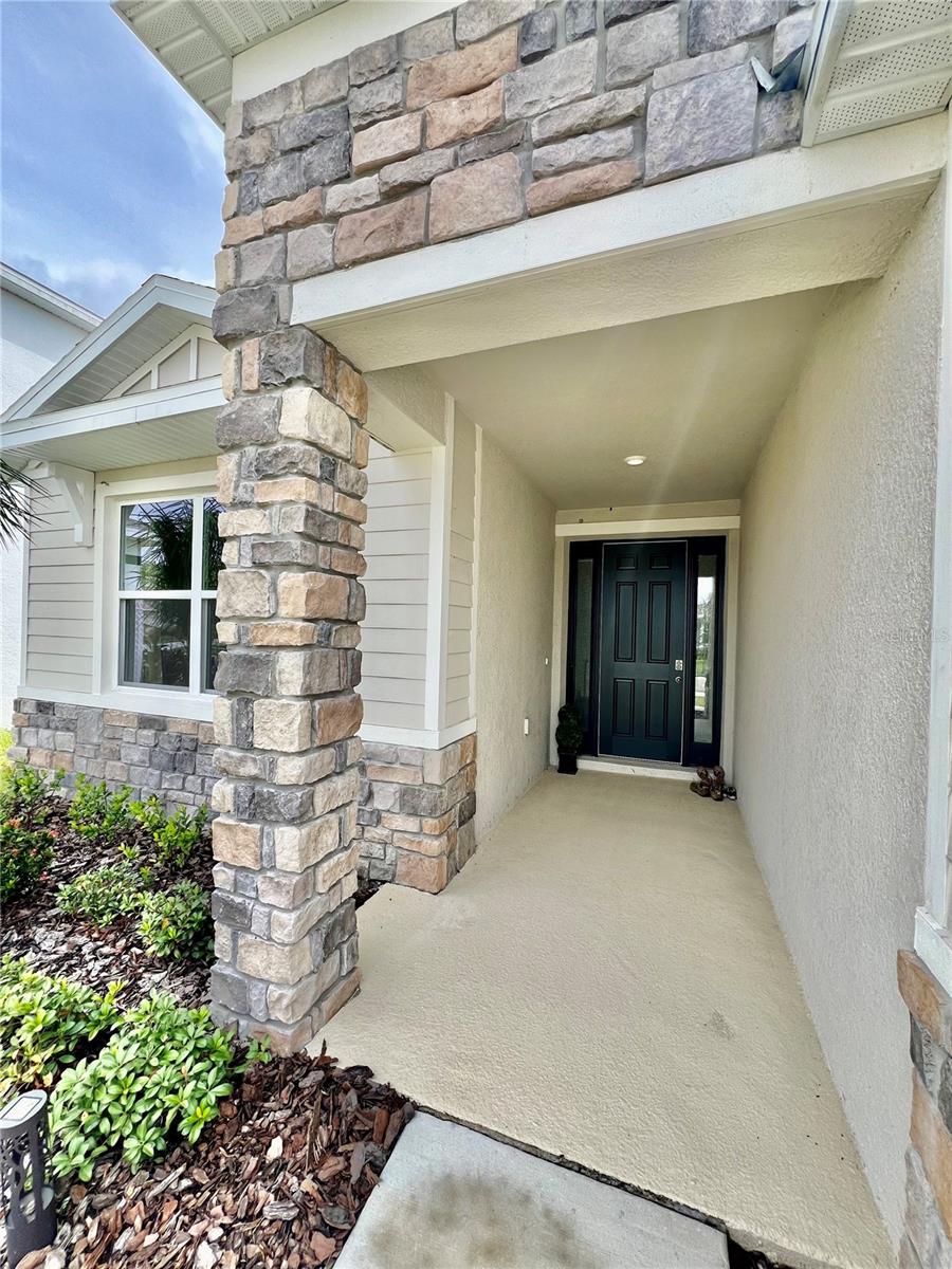 33869 FIELD MAPLE LOOP, WESLEY CHAPEL, FL, 33545