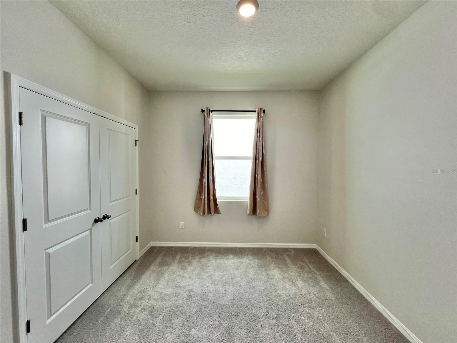 33869 FIELD MAPLE LOOP, WESLEY CHAPEL, FL, 33545