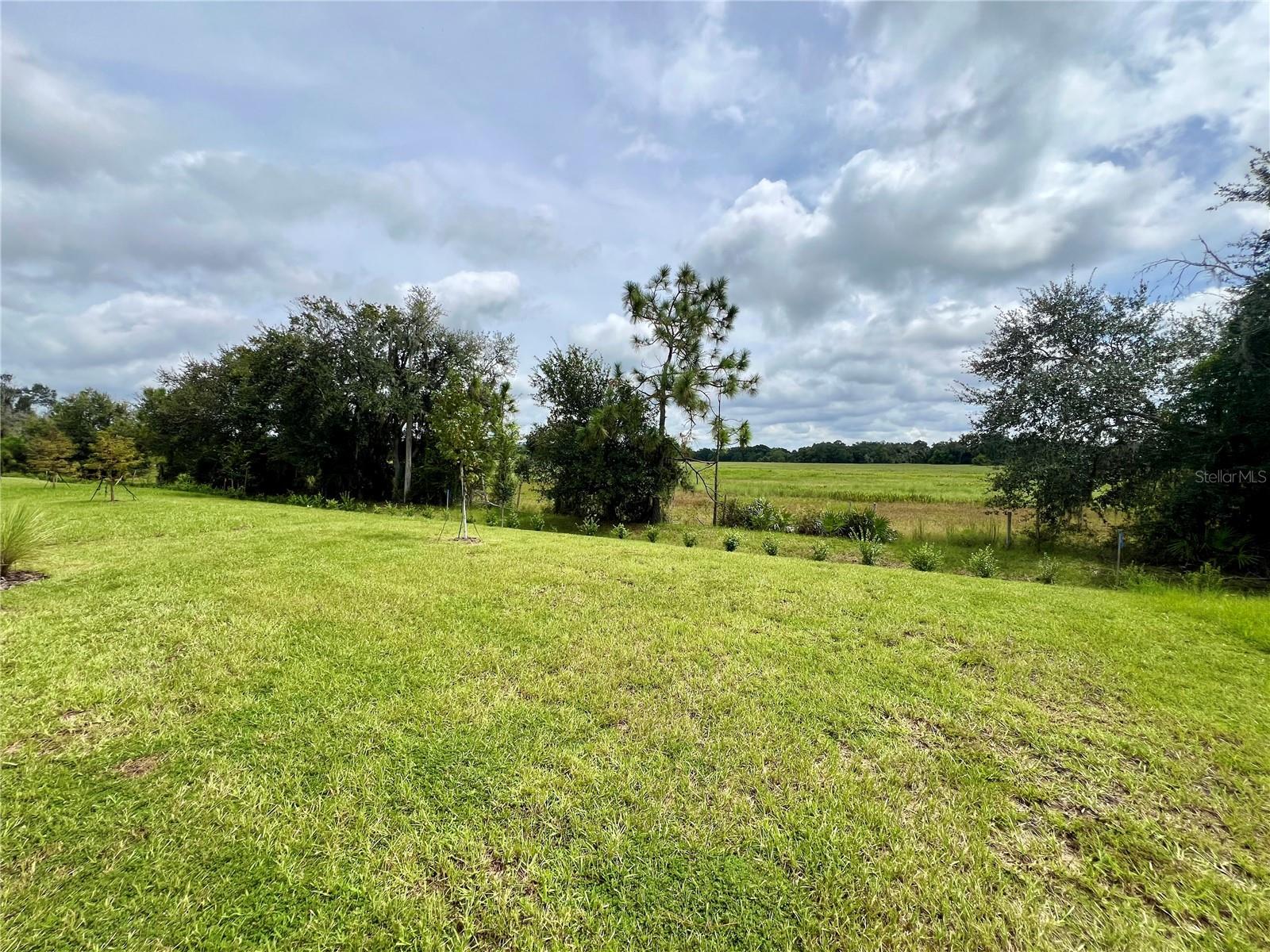 33869 FIELD MAPLE LOOP, WESLEY CHAPEL, FL, 33545