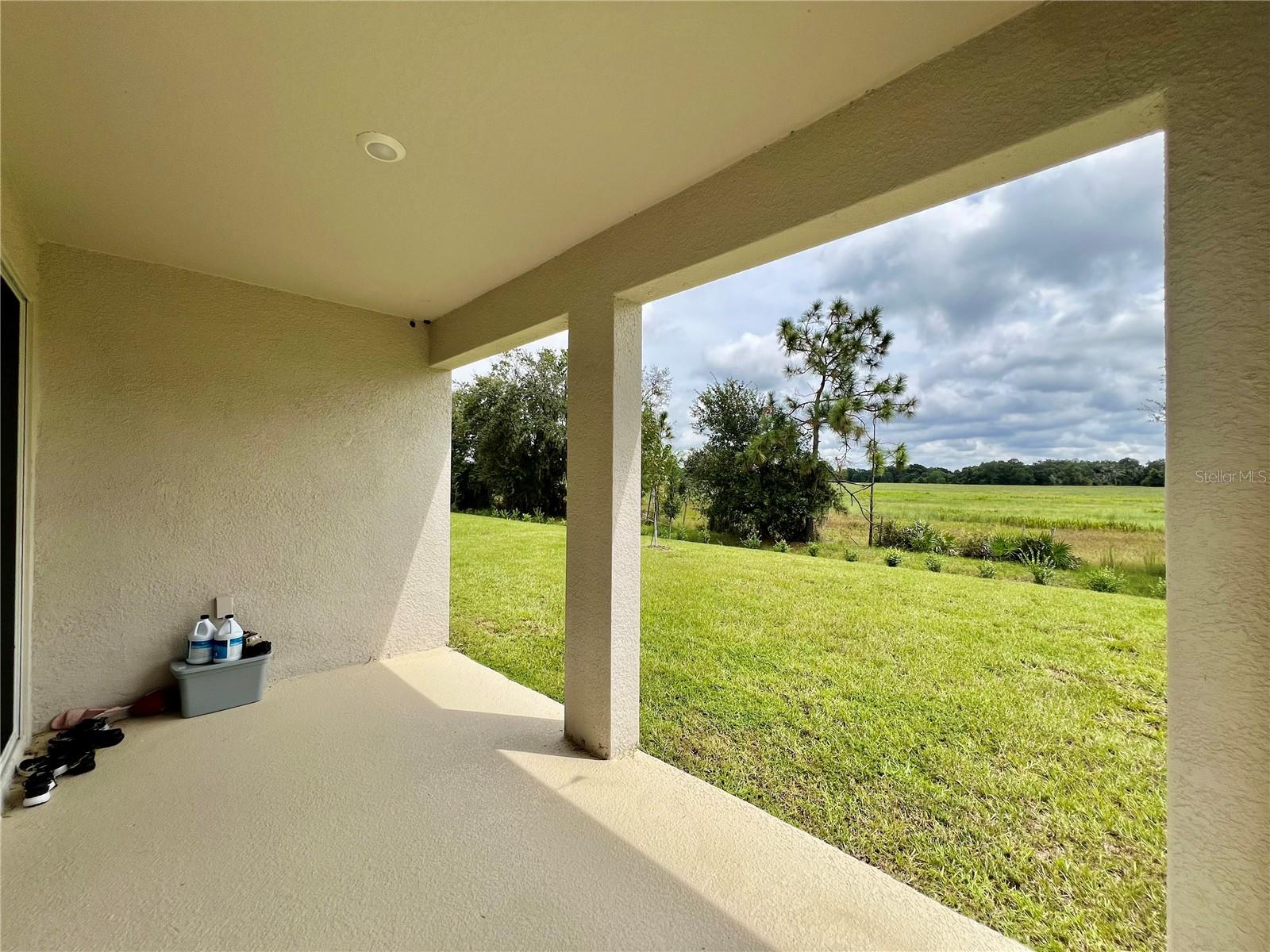 33869 FIELD MAPLE LOOP, WESLEY CHAPEL, FL, 33545