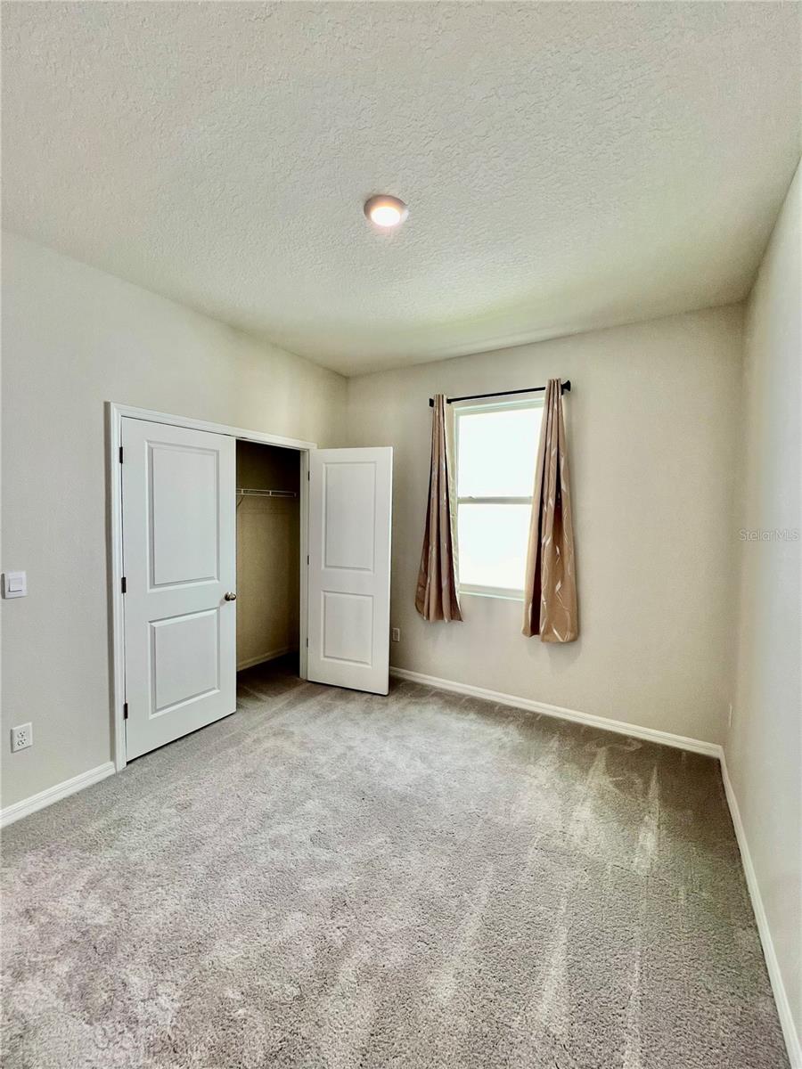 33869 FIELD MAPLE LOOP, WESLEY CHAPEL, FL, 33545