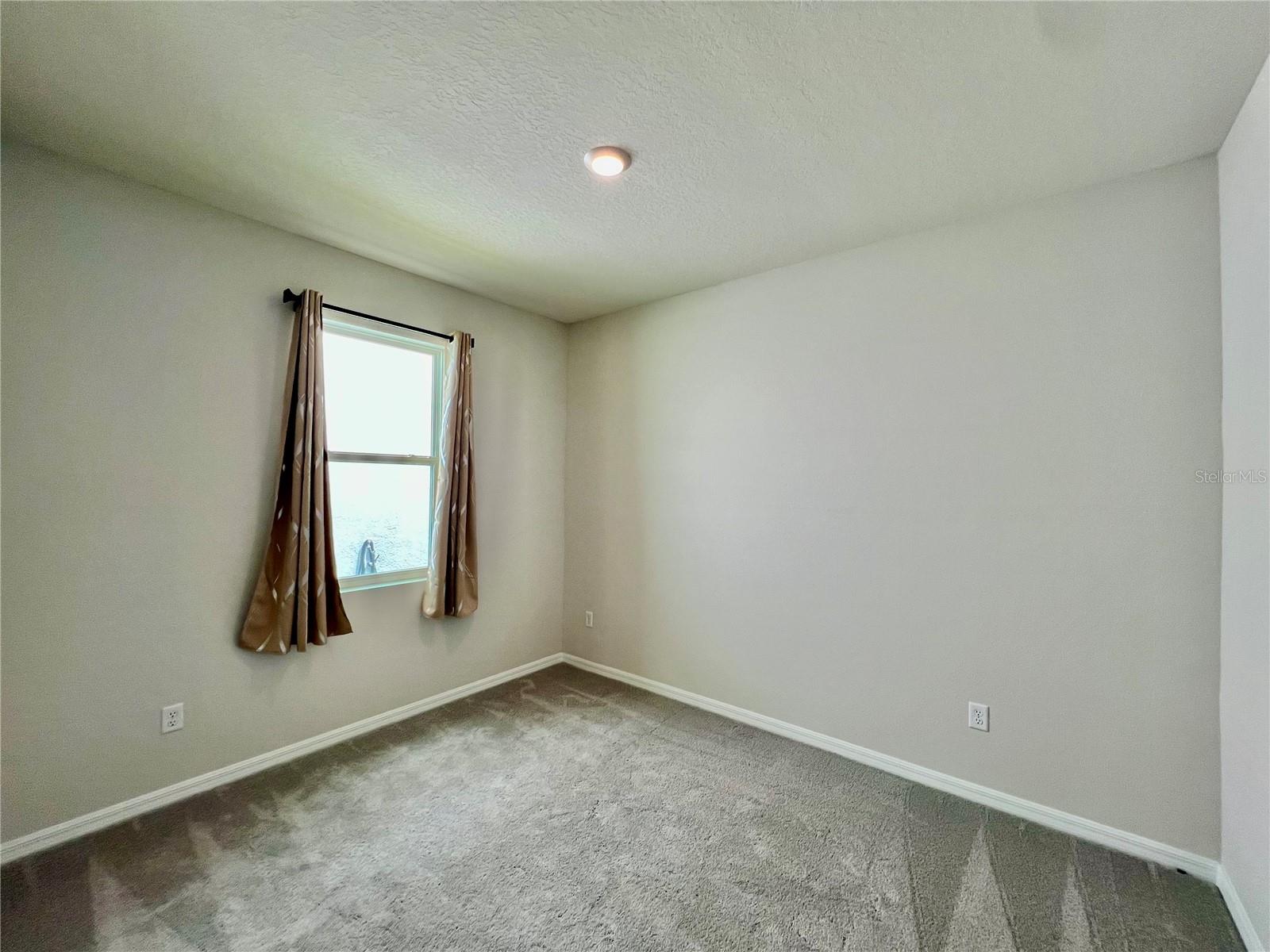 33869 FIELD MAPLE LOOP, WESLEY CHAPEL, FL, 33545