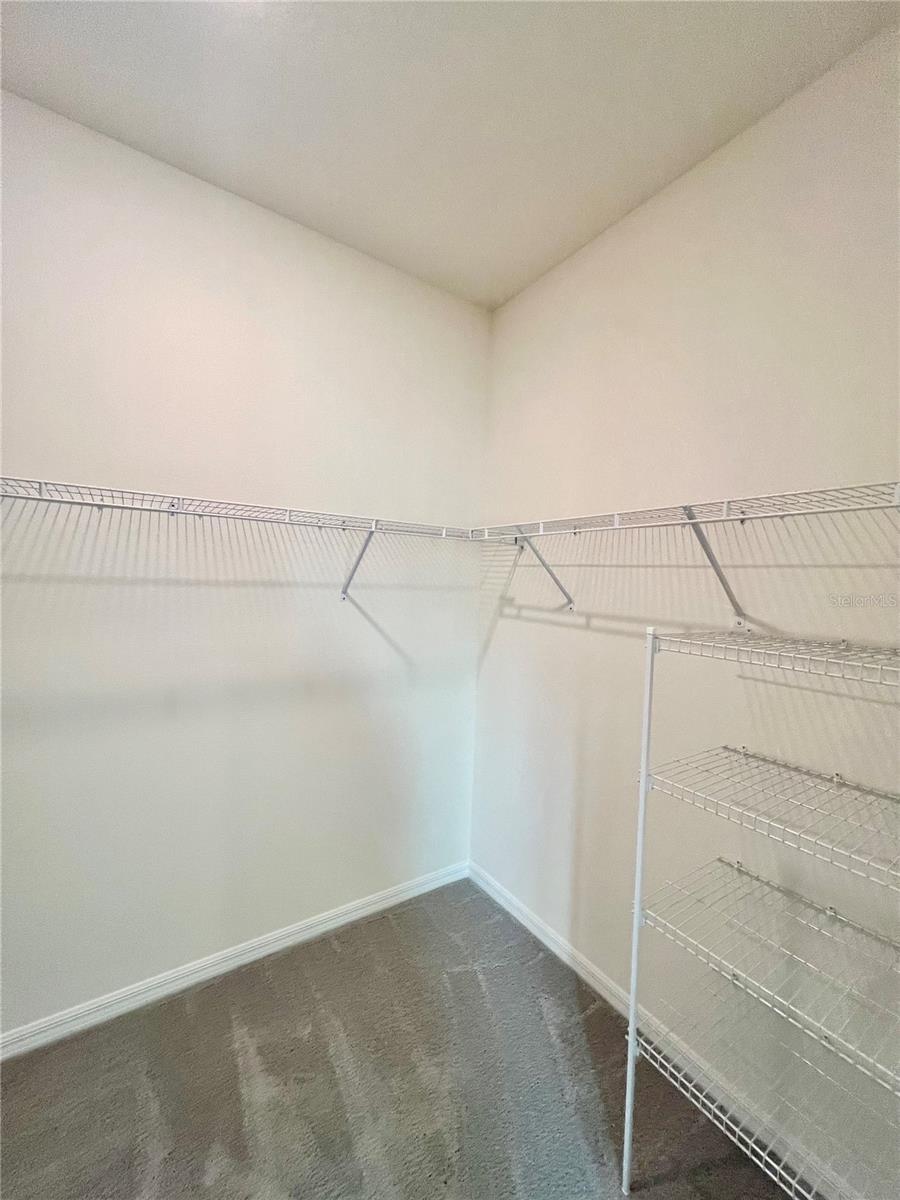 33869 FIELD MAPLE LOOP, WESLEY CHAPEL, FL, 33545