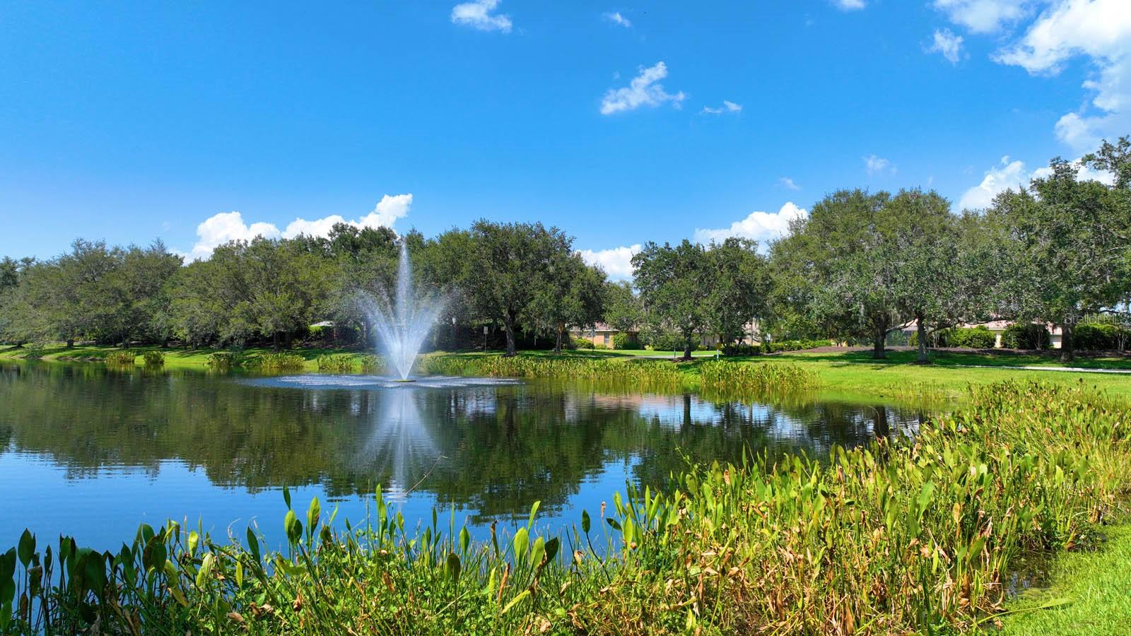 12338 LAVENDER LOOP, BRADENTON, FL, 34212