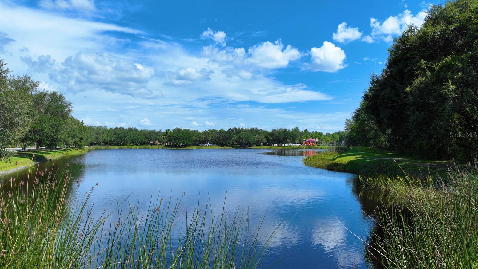 12338 LAVENDER LOOP, BRADENTON, FL, 34212