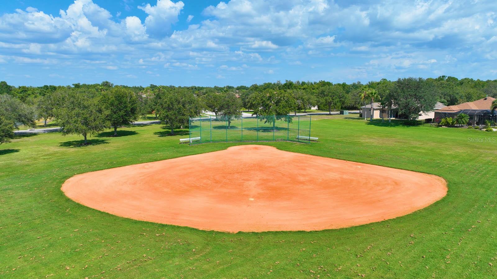 12338 LAVENDER LOOP, BRADENTON, FL, 34212