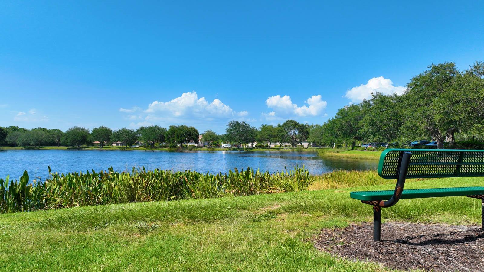 12338 LAVENDER LOOP, BRADENTON, FL, 34212