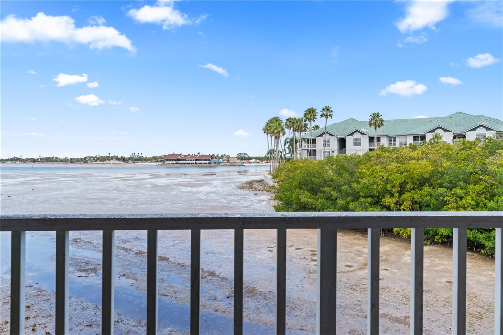 2506 N ROCKY POINT DR #272, TAMPA, FL, 33607
