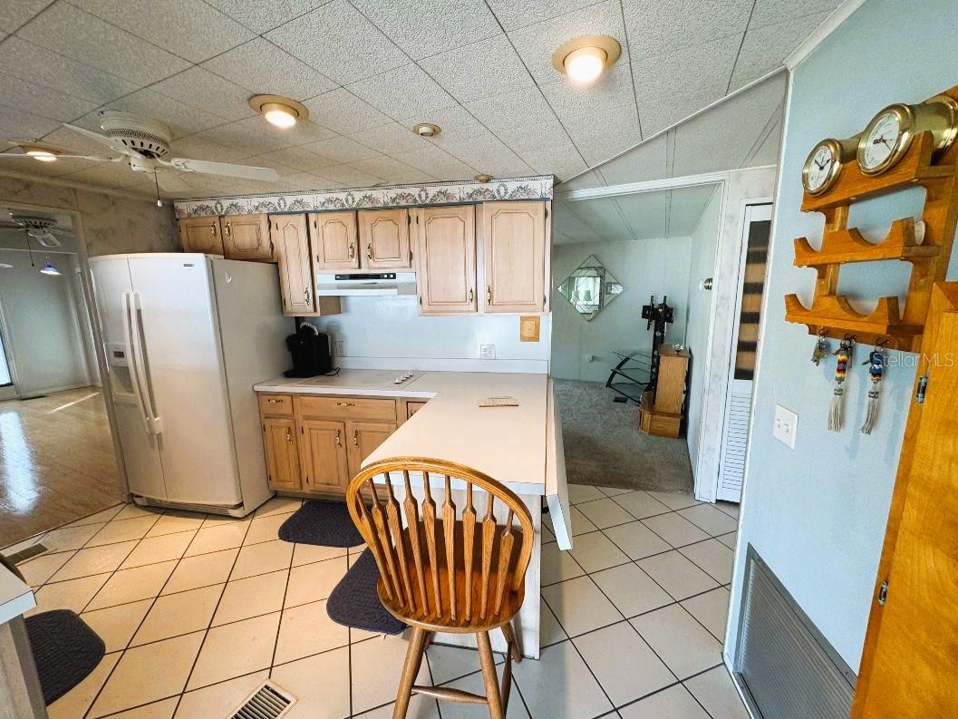 102 WILLOW LN, LEESBURG, FL, 34748