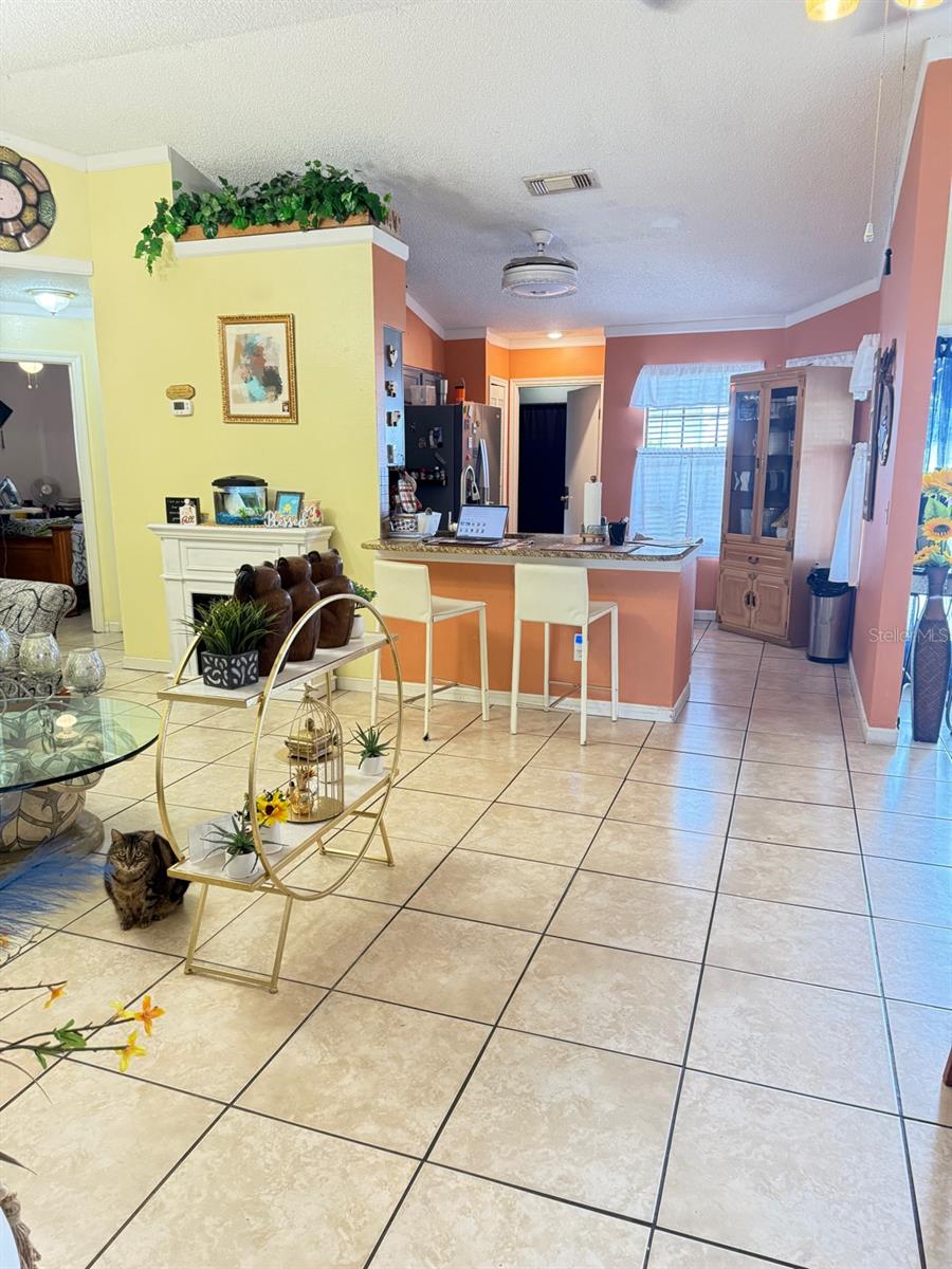 3250 DELLBROOK DR, DELTONA, FL, 32738