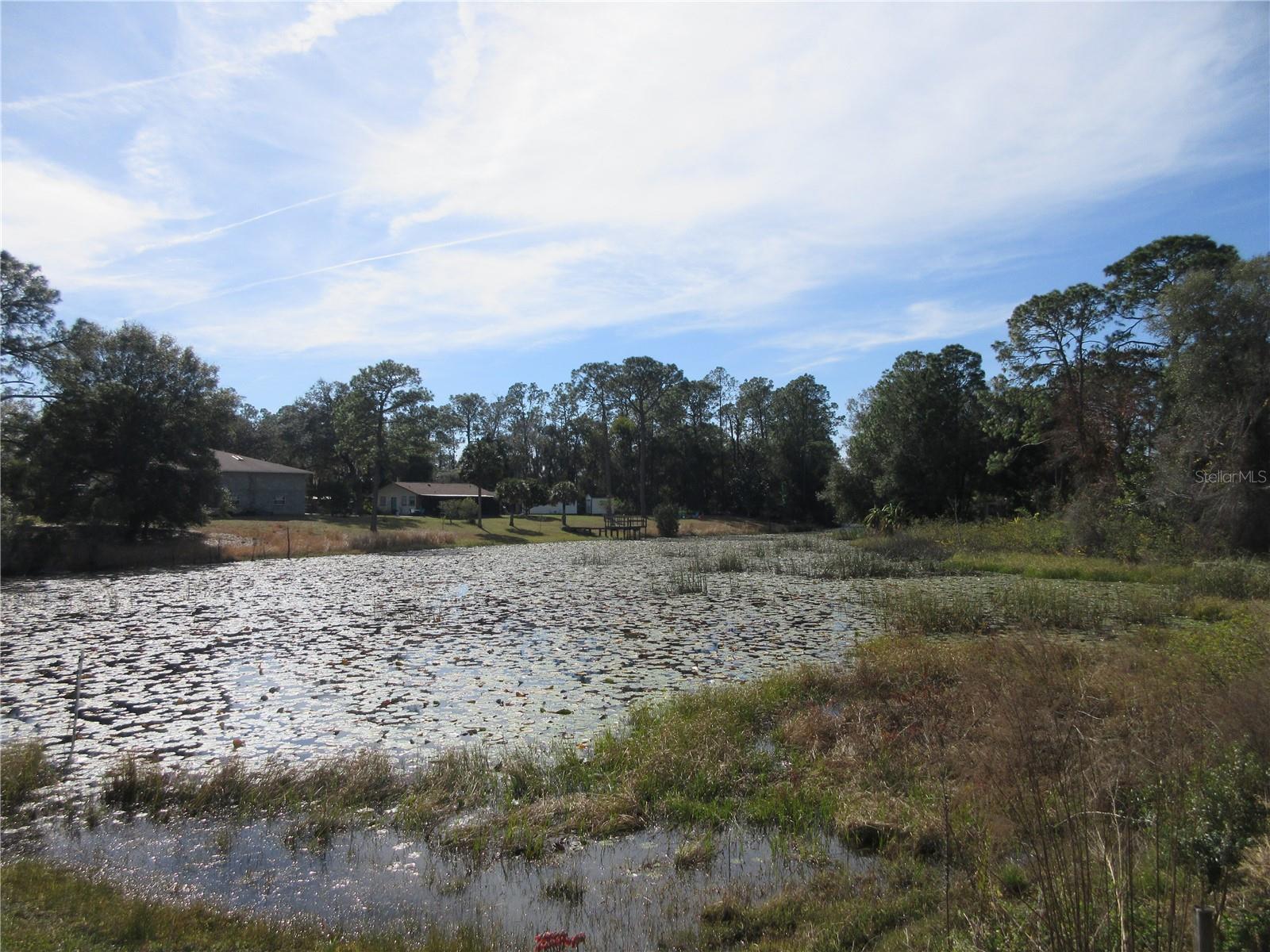 18782 SE 50TH ST, OCKLAWAHA, FL, 32179