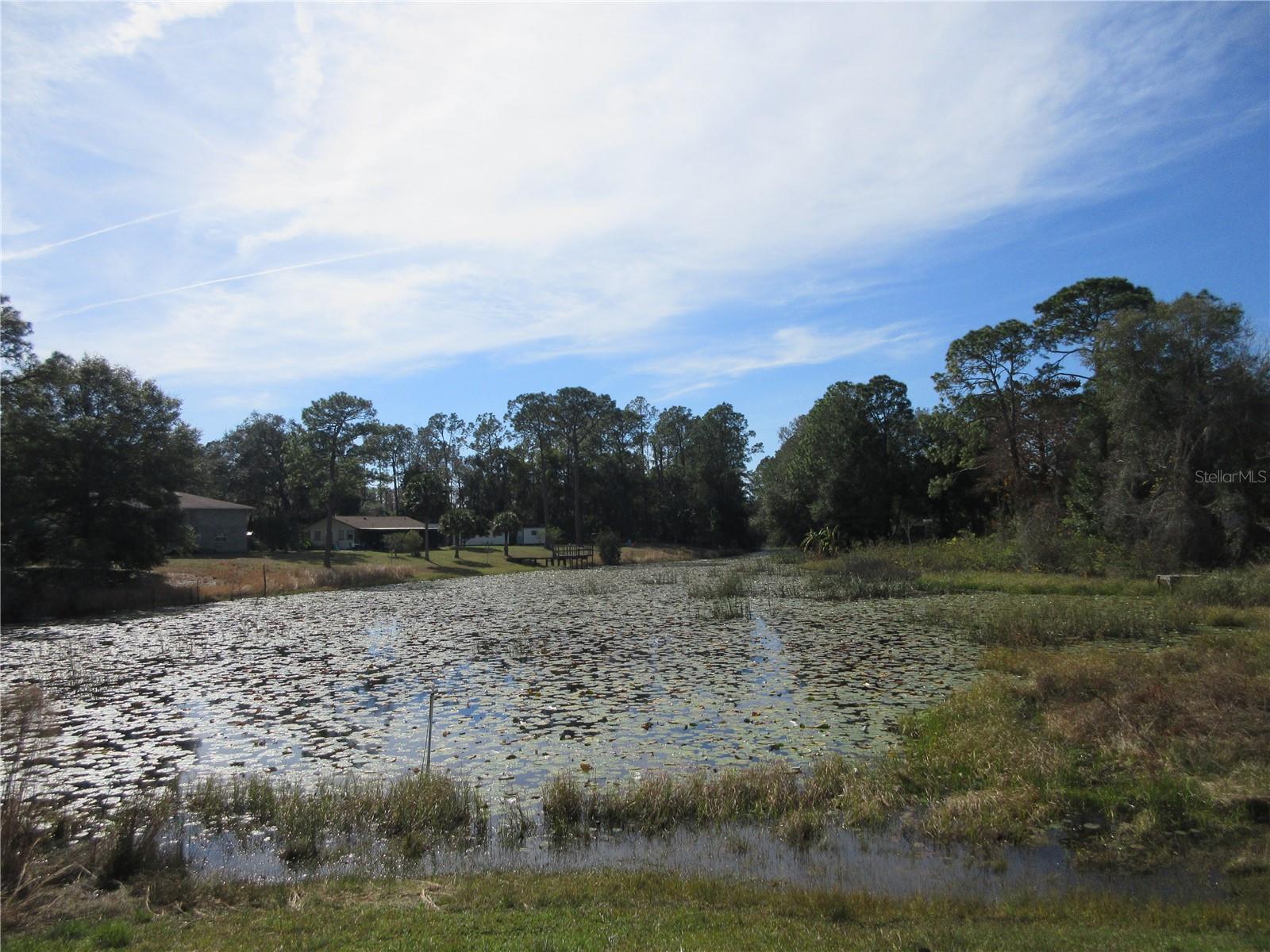 18782 SE 50TH ST, OCKLAWAHA, FL, 32179