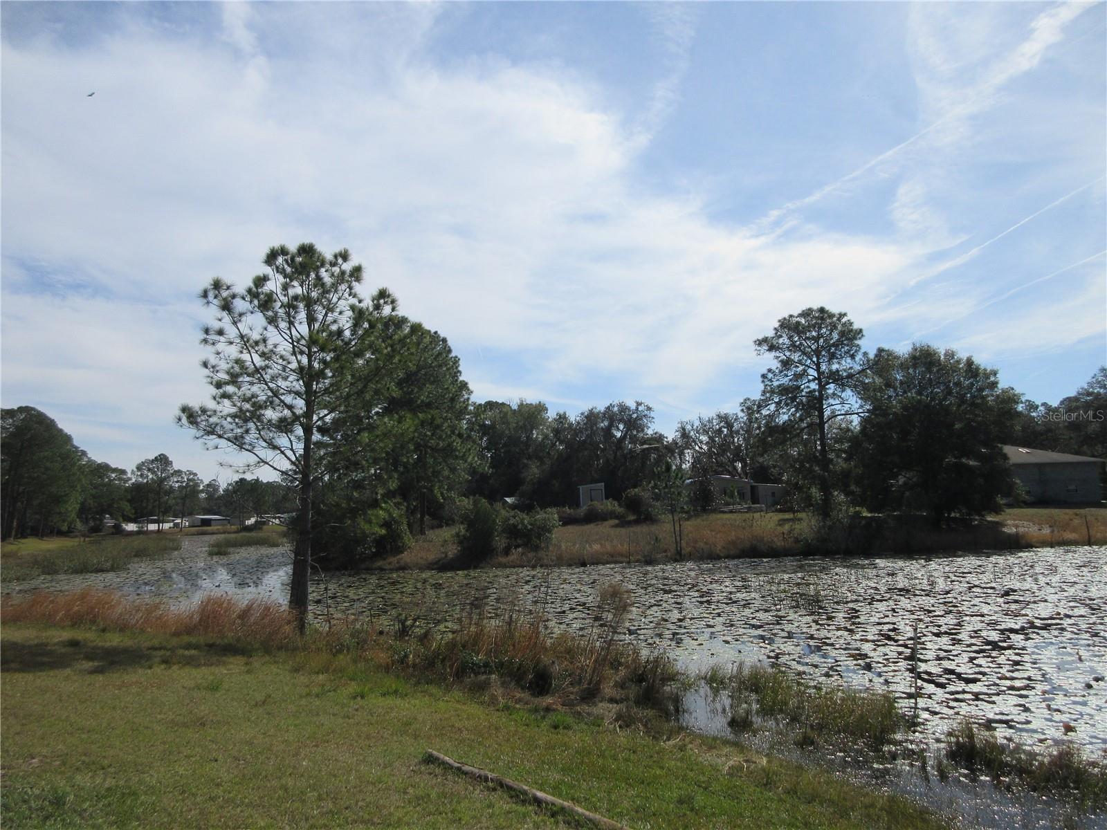 18782 SE 50TH ST, OCKLAWAHA, FL, 32179