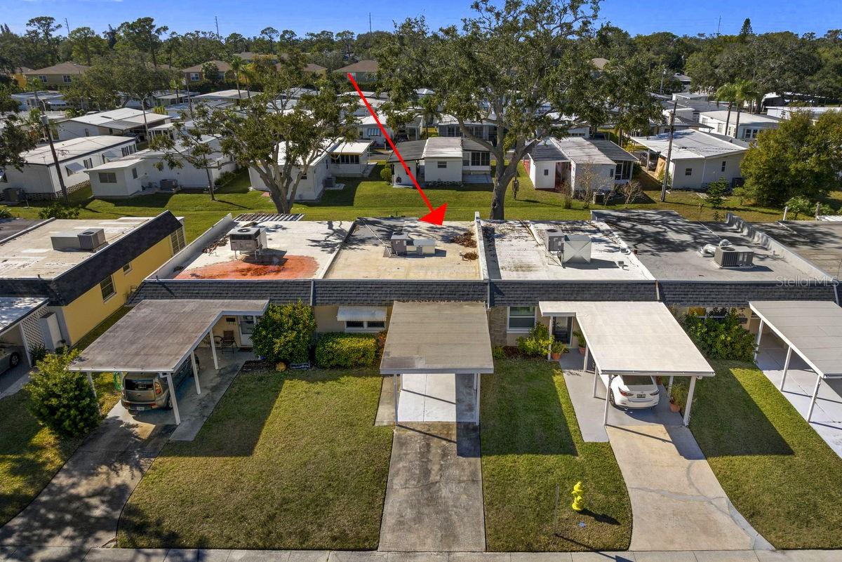 204 SKY LOCH DR W, DUNEDIN, FL, 34698