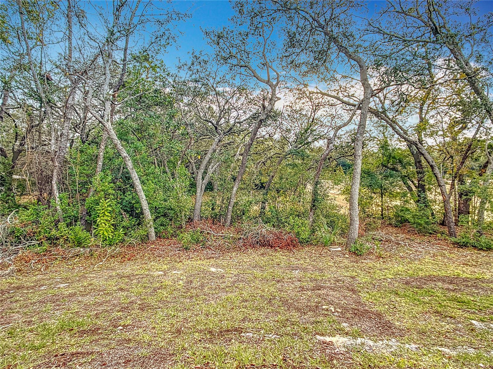9443 N AGATHA DR, CITRUS SPRINGS, FL, 34434