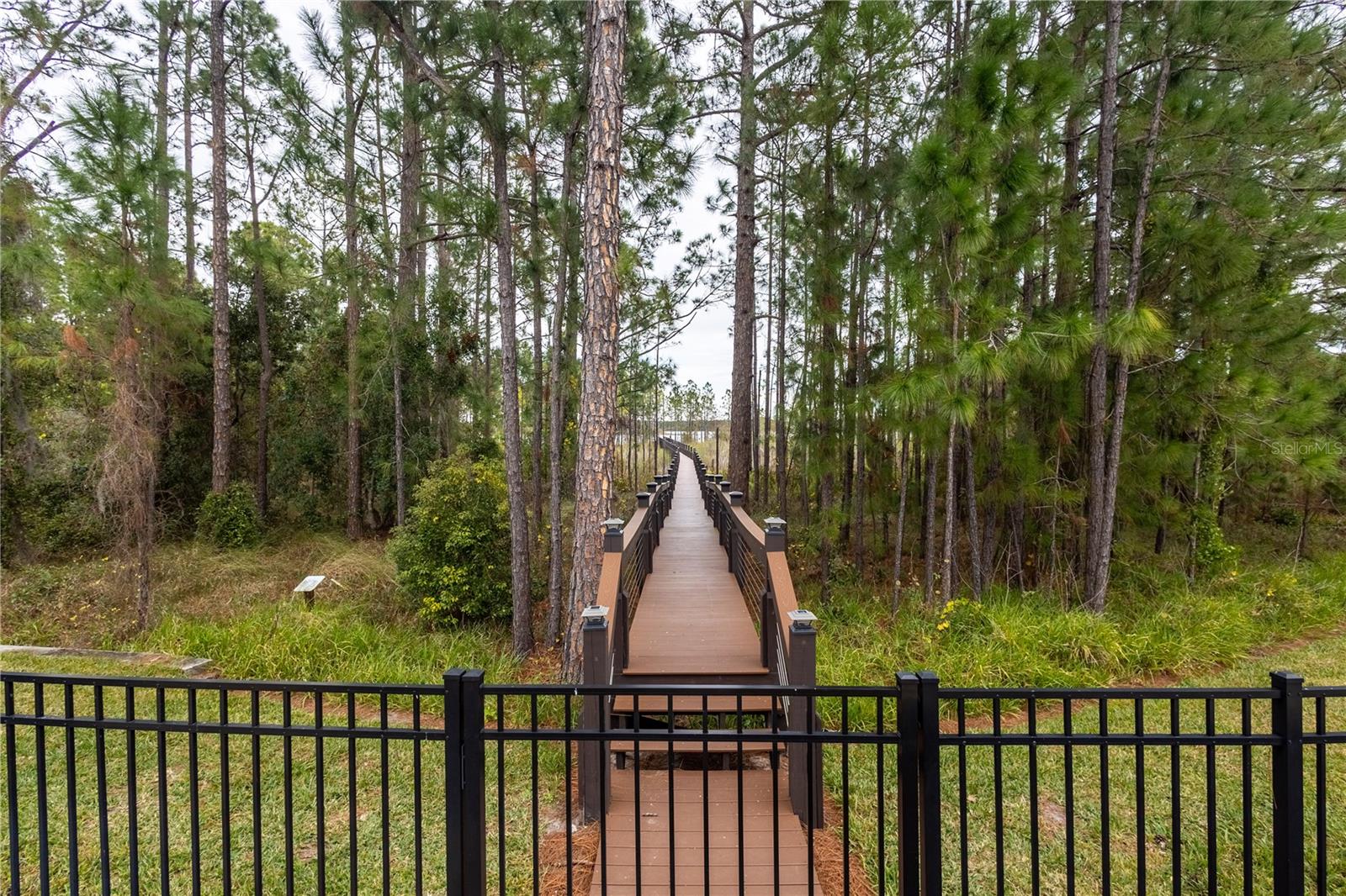 10207 ATWATER BAY DR, WINTER GARDEN, FL, 34787