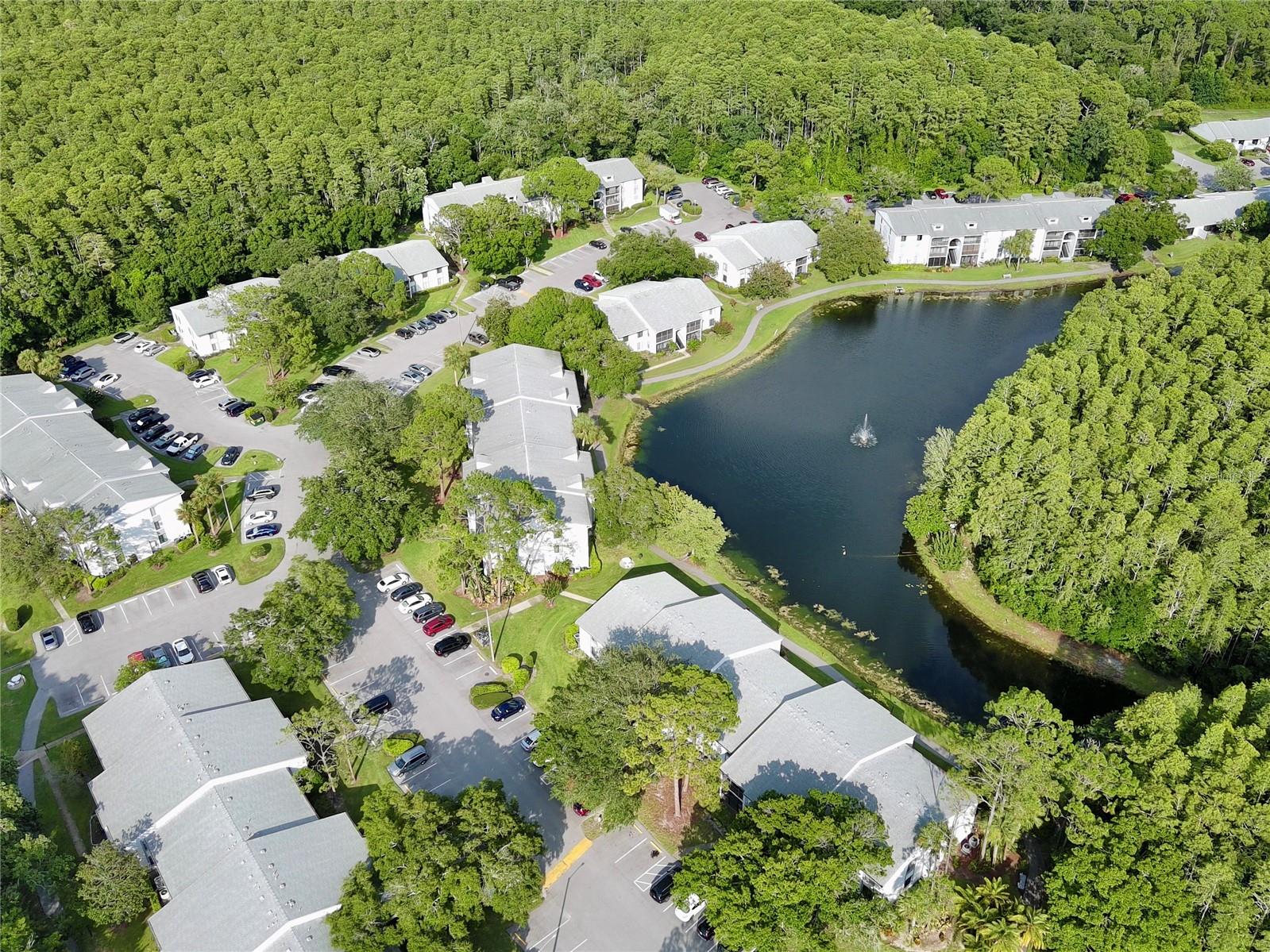 1344 PINE RIDGE CIR E #D2, TARPON SPRINGS, FL, 34688