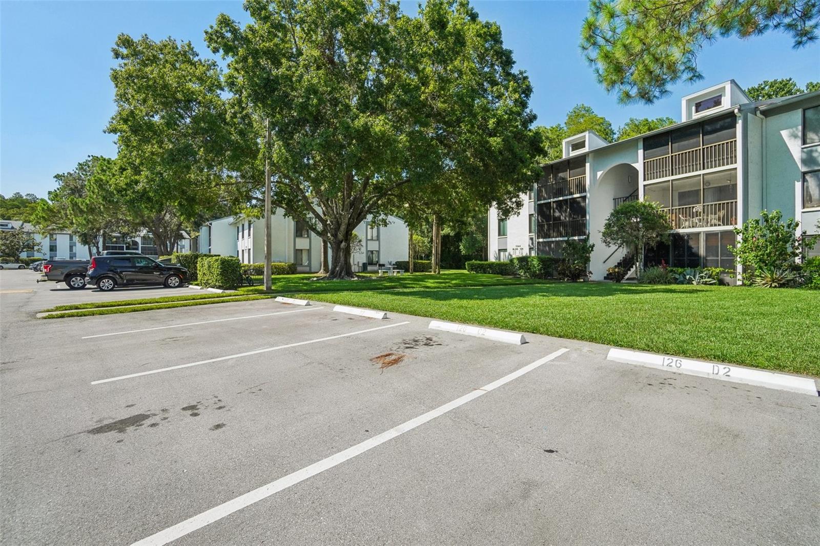 1344 PINE RIDGE CIR E #D2, TARPON SPRINGS, FL, 34688