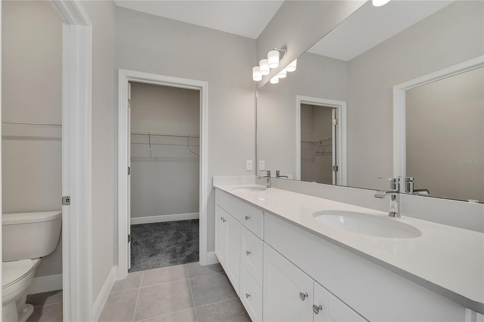 16344 HAMLIN VIEW ST, WINTER GARDEN, FL, 34787