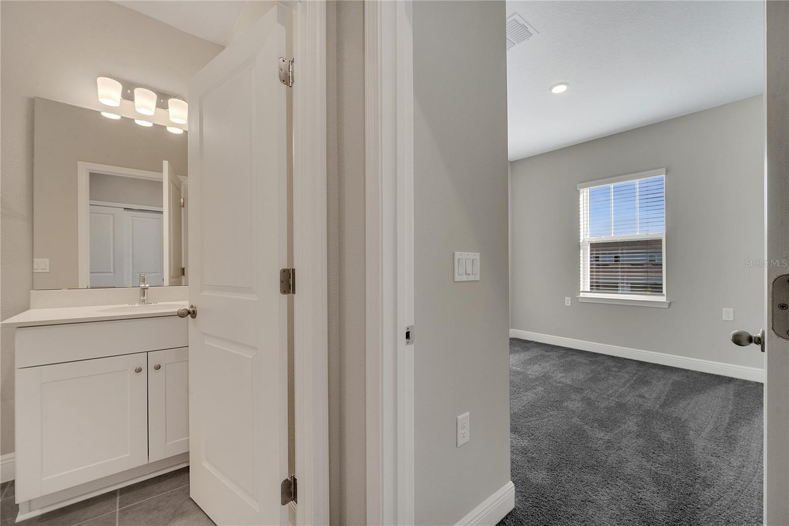16344 HAMLIN VIEW ST, WINTER GARDEN, FL, 34787